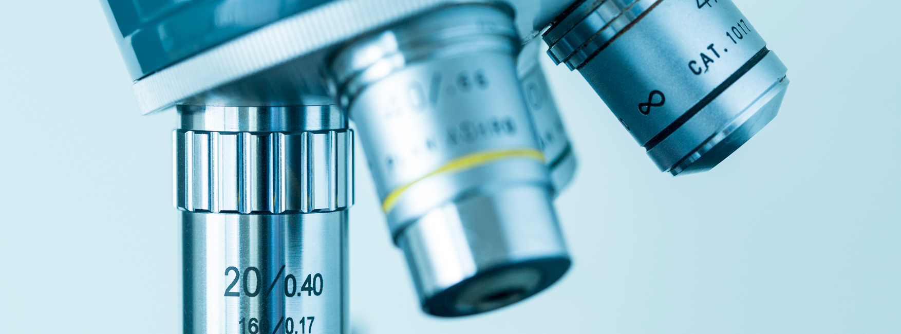 biopsia