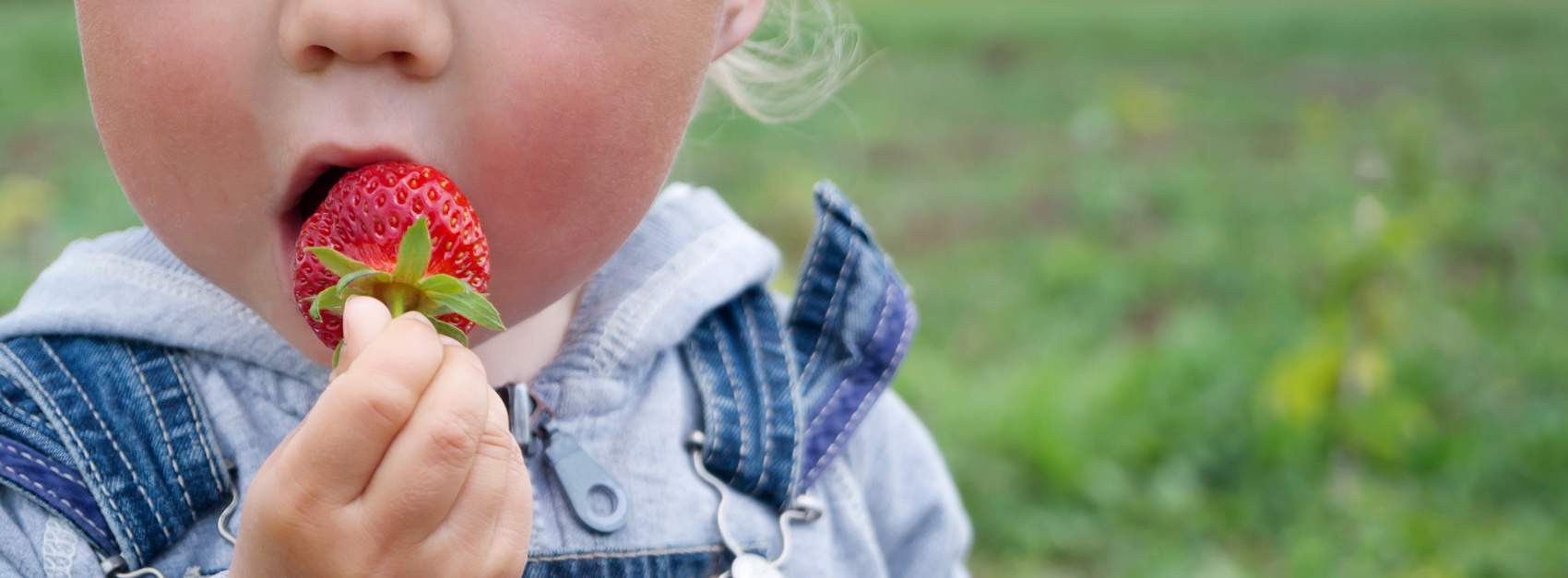 svezzamento vegetariano o vegano